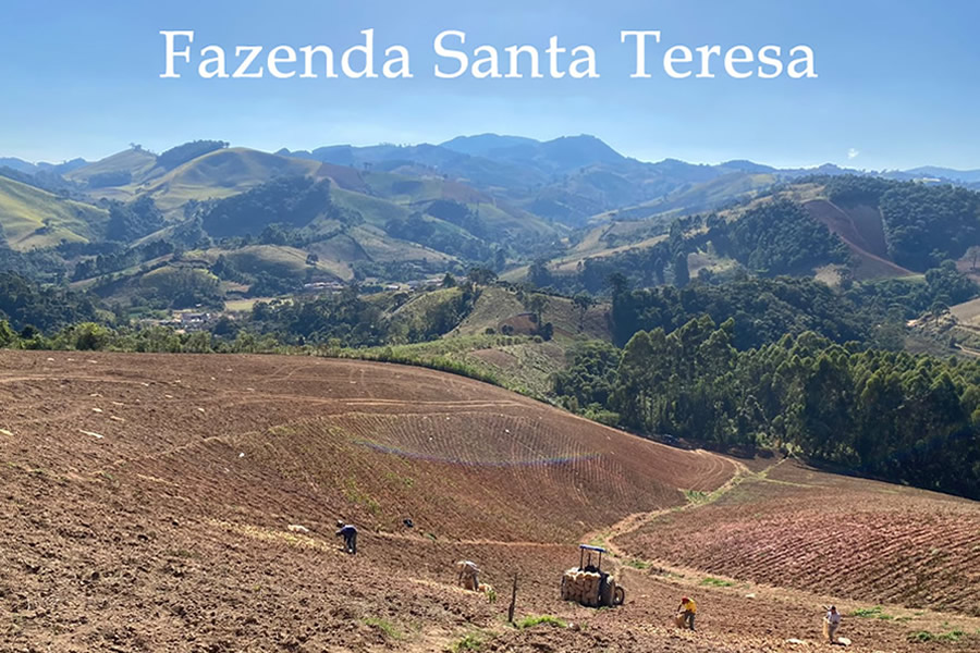 Fazenda Santa Teresa - O despertar