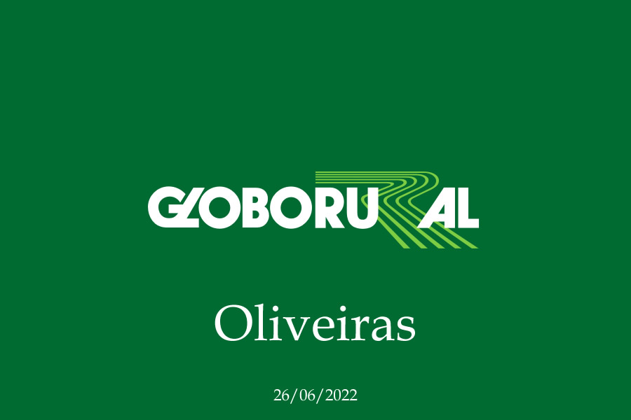 Globo Rural - 2022